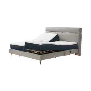 Умная двуспальная кровать Xiaomi 8H Twins Dual Zone Intelligent Split Electric Bed 1.8 m Gray (умное основание DT8 и ортопедический матрас TZ)